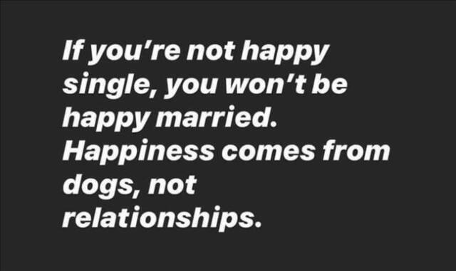 Bildschirmarbeiter - Picdump KW02 2021