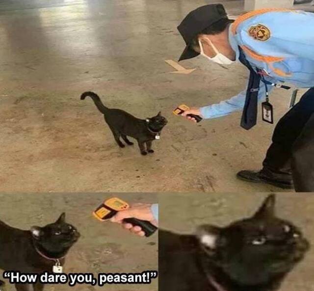 Bildschirmarbeiter - Picdump KW02 2021