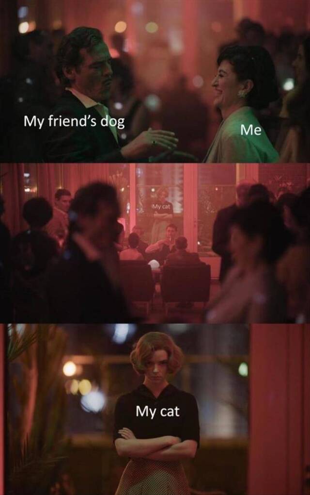 Bildschirmarbeiter - Picdump KW02 2021