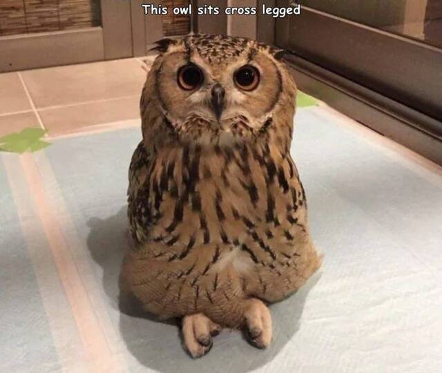 Bildschirmarbeiter - Picdump KW02 2021