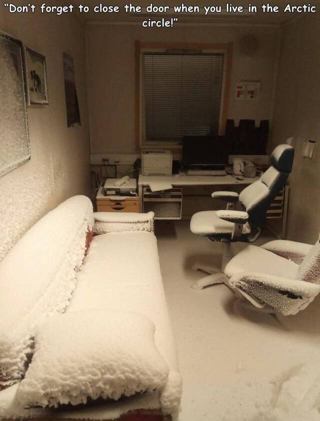 Bildschirmarbeiter - Picdump KW02 2021