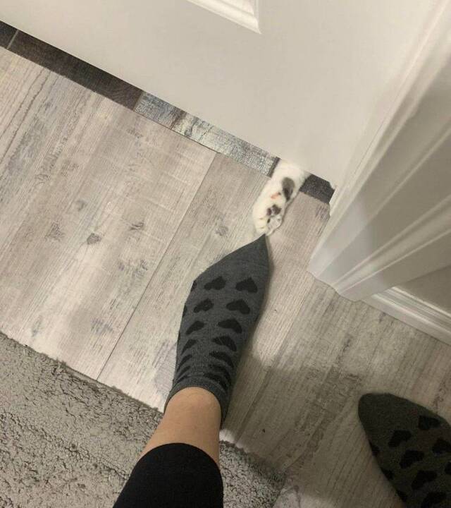 Bildschirmarbeiter - Picdump KW02 2021