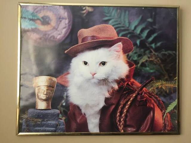 Bildschirmarbeiter - Picdump KW02 2021