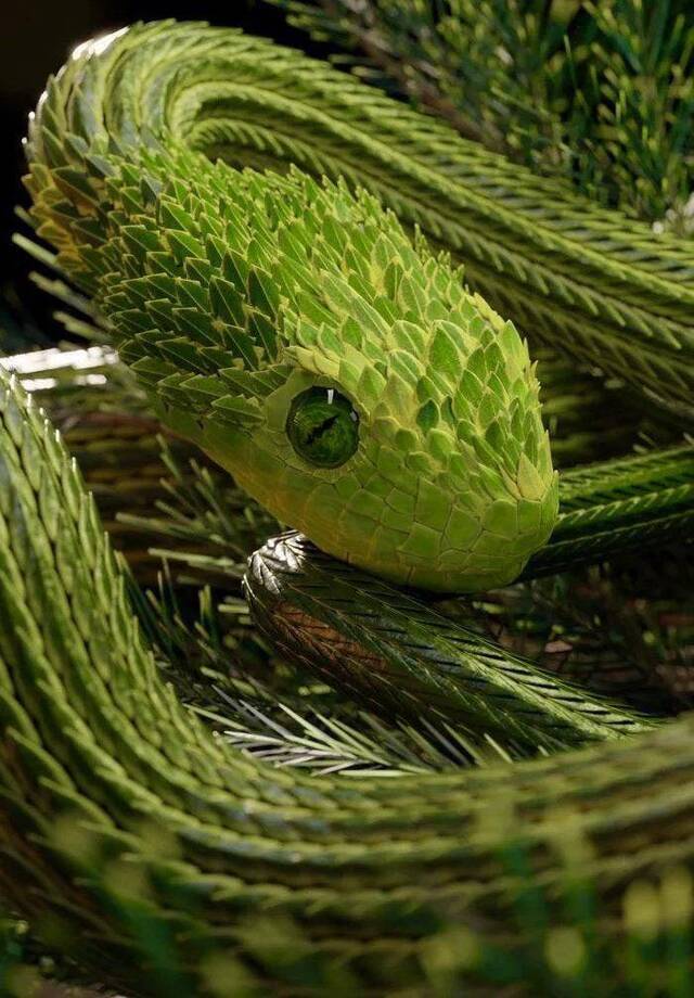 Bildschirmarbeiter - Picdump KW02 2021