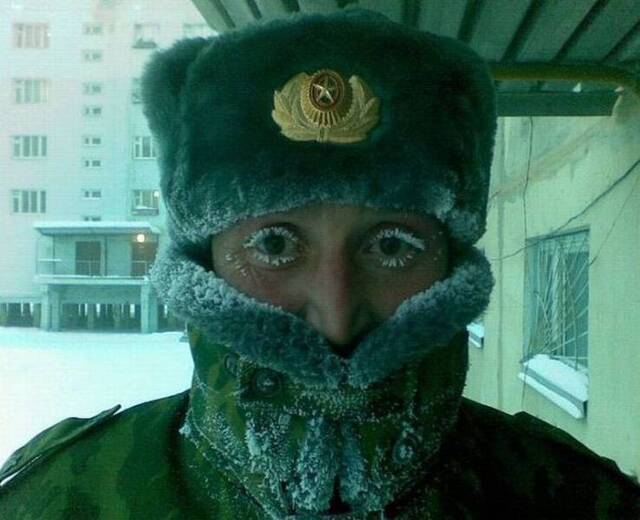 Bildschirmarbeiter - Picdump KW02 2021