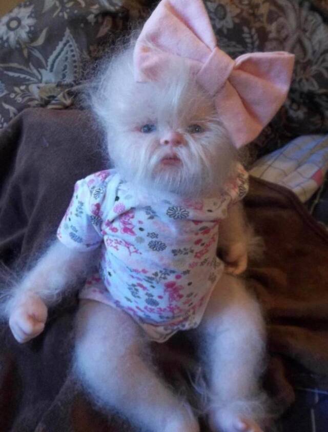 Bildschirmarbeiter - Picdump KW02 2021