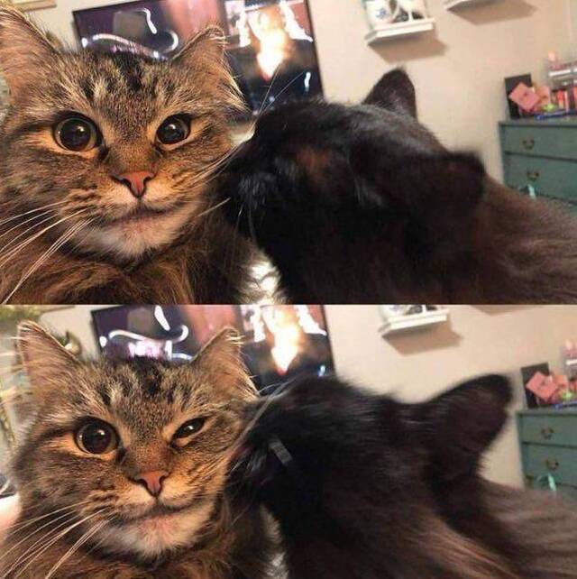 Nachschlag - Bildschirmarbeiter - Picdump KW02 2022