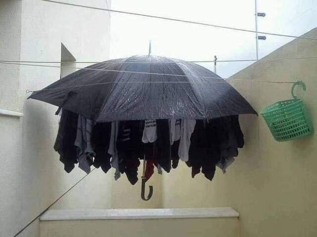 Nachschlag - Bildschirmarbeiter - Picdump KW02 2022