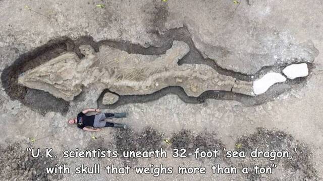 Nachschlag - Bildschirmarbeiter - Picdump KW02 2022