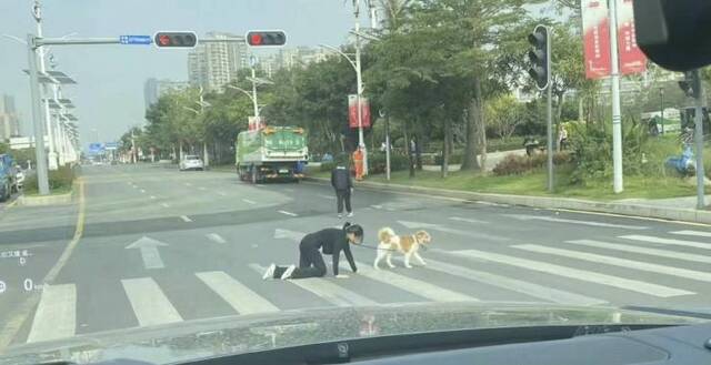 Nachschlag - Bildschirmarbeiter - Picdump KW02 2022