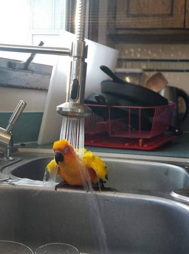 Nachschlag - Bildschirmarbeiter - Picdump KW02 2022