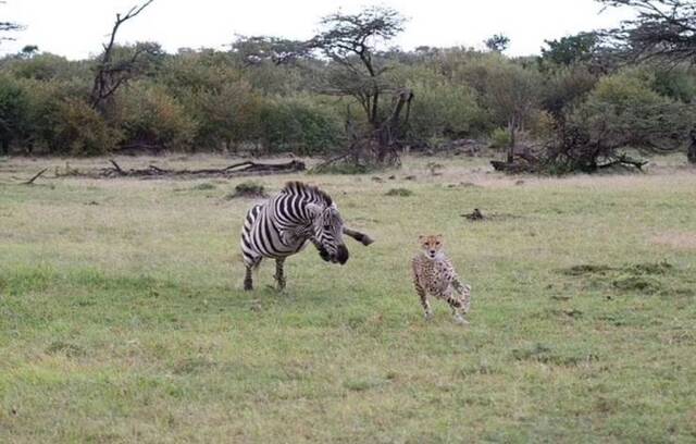 Nachschlag - Bildschirmarbeiter - Picdump KW02 2022