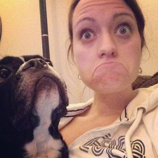 Nachschlag - Bildschirmarbeiter - Picdump KW02 2022