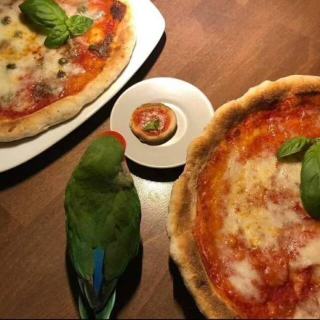 Nachschlag - Bildschirmarbeiter - Picdump KW02 2022