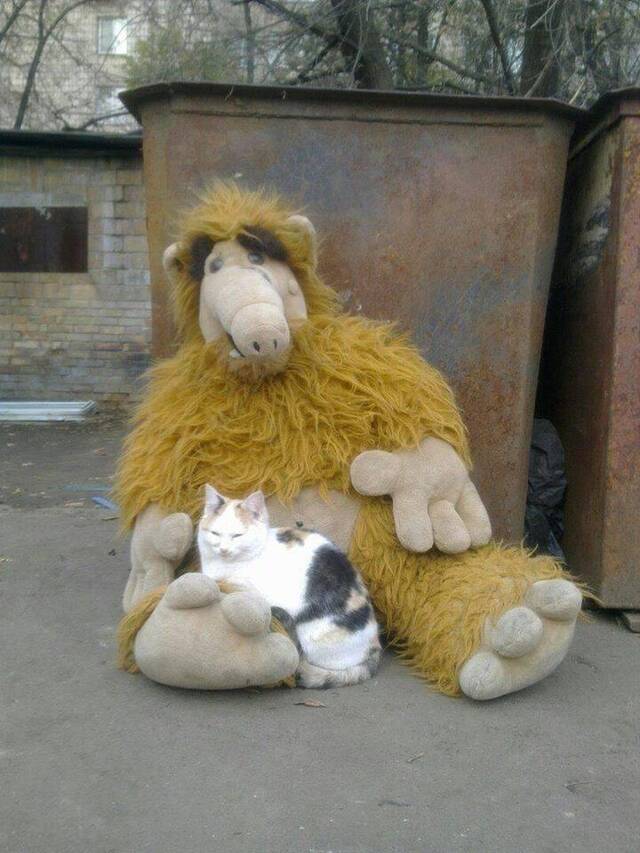 Nachschlag - Bildschirmarbeiter - Picdump KW02 2022