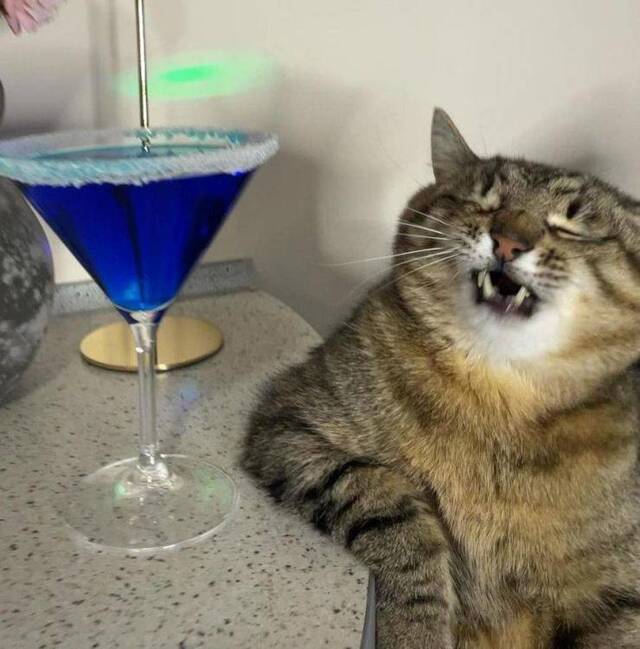 Nachschlag - Bildschirmarbeiter - Picdump KW02 2022