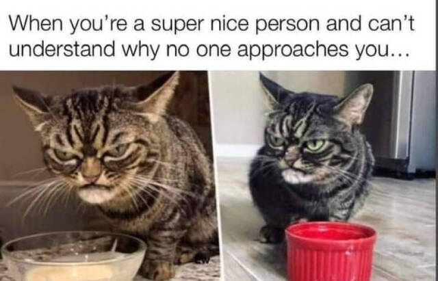 Nachschlag - Bildschirmarbeiter - Picdump KW02 2022