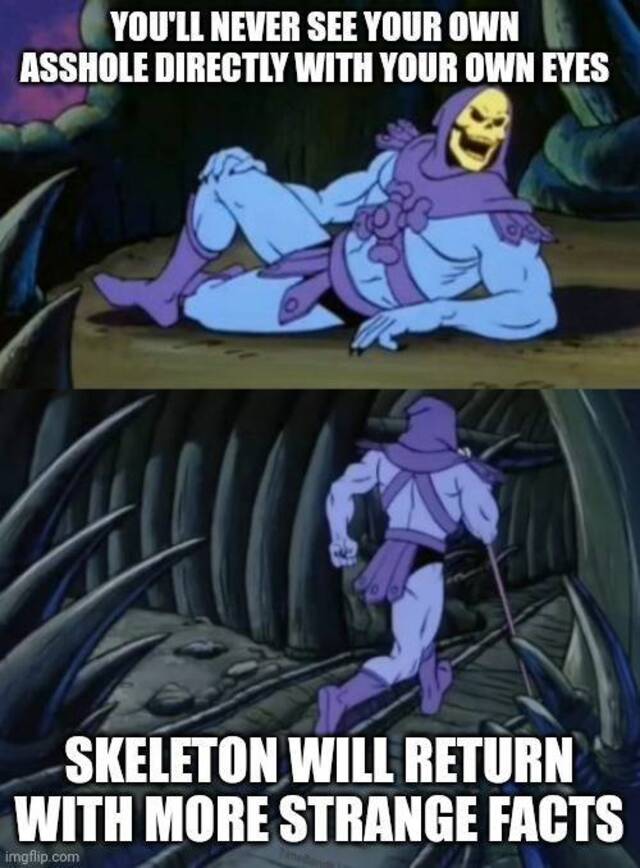 Nachschlag - Bildschirmarbeiter - Picdump KW02 2022