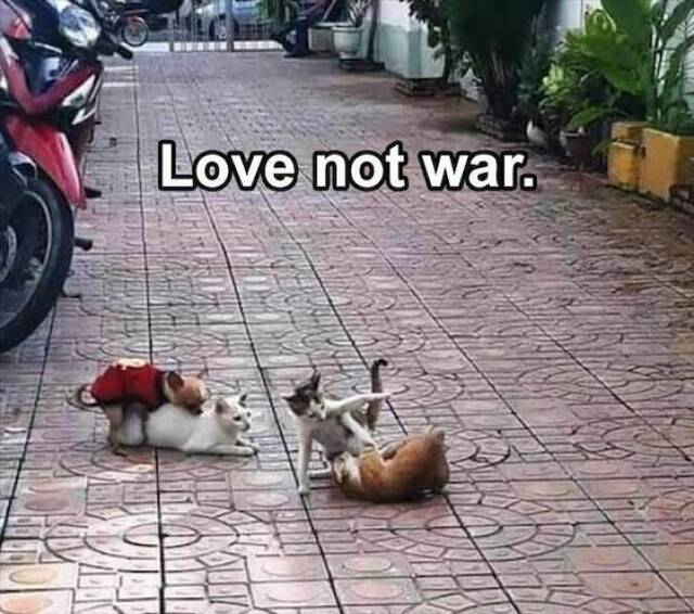 Nachschlag - Bildschirmarbeiter - Picdump KW02 2022