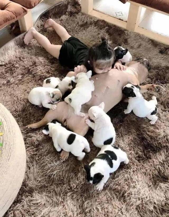 Nachschlag - Bildschirmarbeiter - Picdump KW02 2022