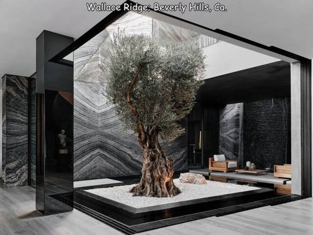 Nachschlag - Bildschirmarbeiter - Picdump KW02 2022