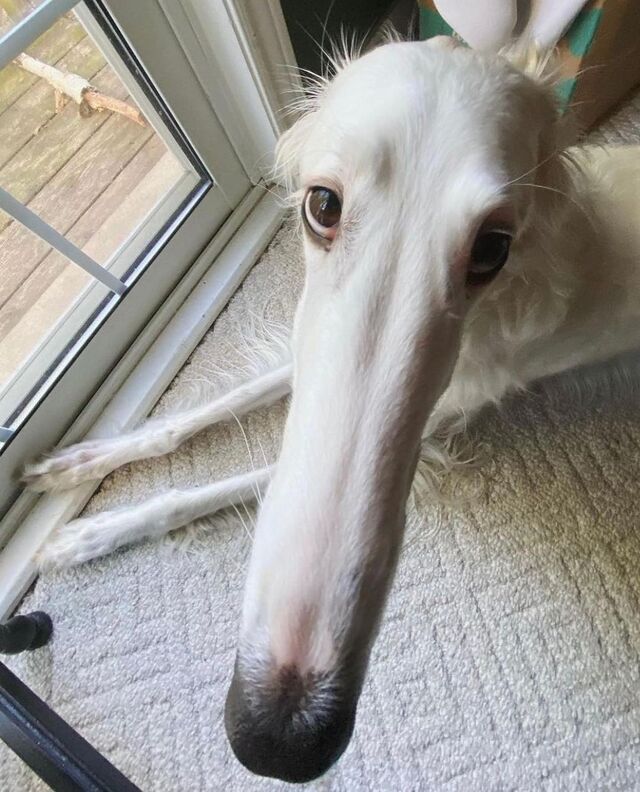 Nachschlag - Bildschirmarbeiter - Picdump KW02 2022