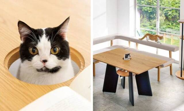 Nachschlag - Bildschirmarbeiter - Picdump KW02 2022