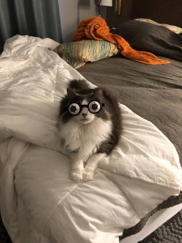 Nachschlag - Bildschirmarbeiter - Picdump KW02 2022