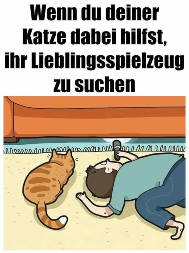 Bildschirmarbeiter - Picdump KW02 2022