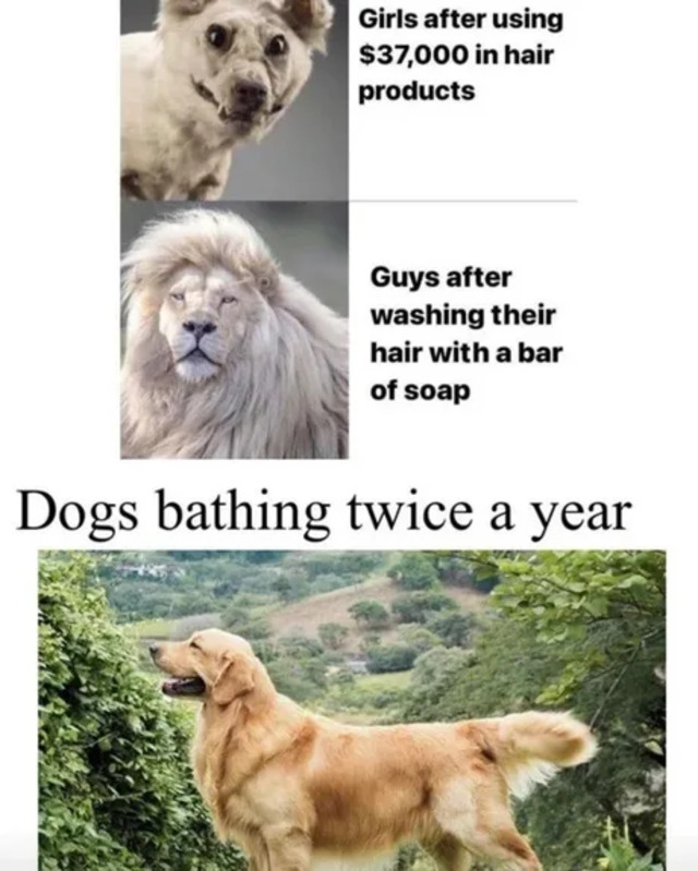 Bildschirmarbeiter - Picdump KW02 2022