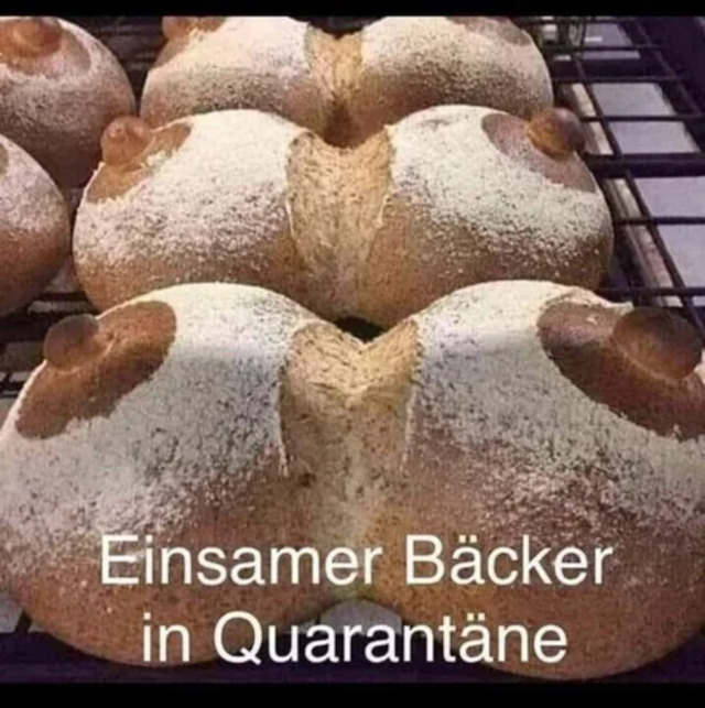 Bildschirmarbeiter - Picdump KW02 2022