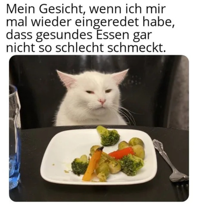 Bildschirmarbeiter - Picdump KW02 2022