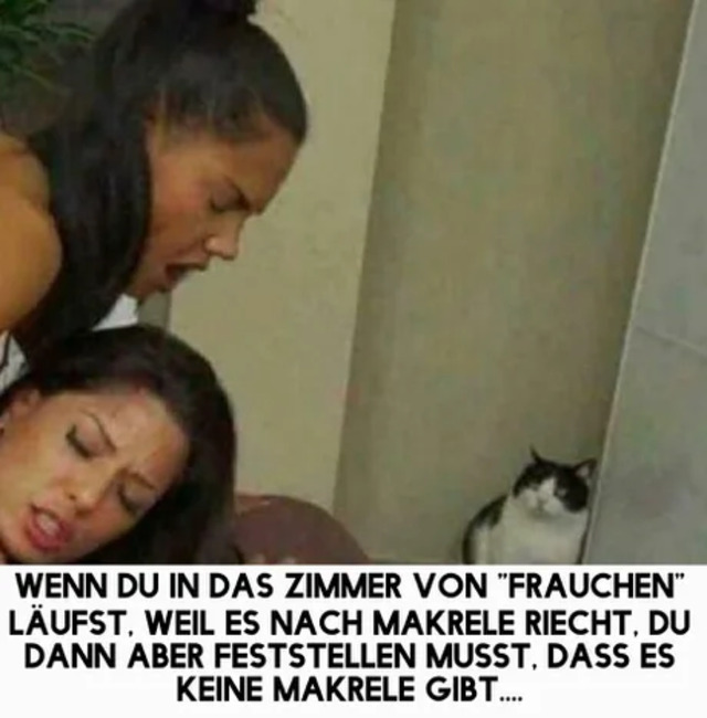 Bildschirmarbeiter - Picdump KW02 2022