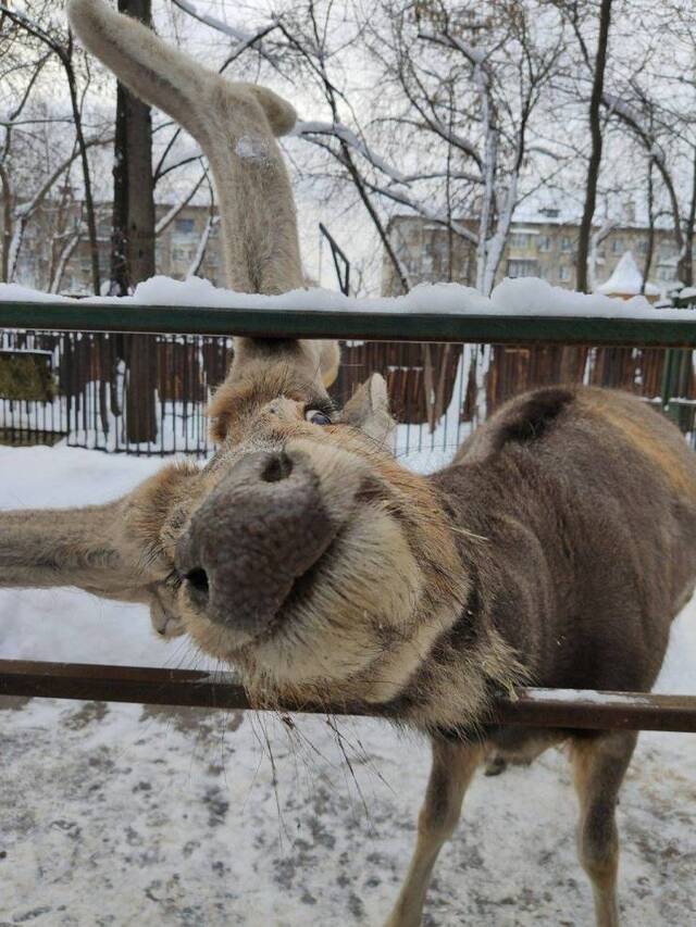 Bildschirmarbeiter - Picdump KW02 2022