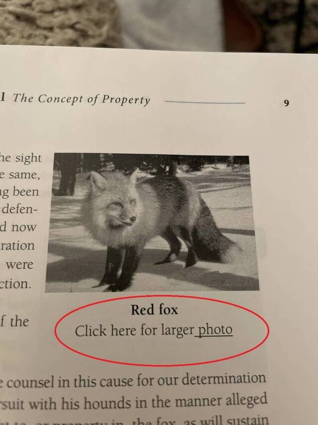 Bildschirmarbeiter - Picdump KW02 2022