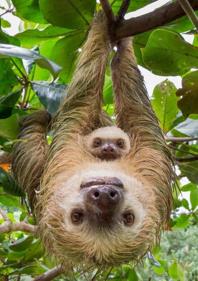 Bildschirmarbeiter - Picdump KW02 2022