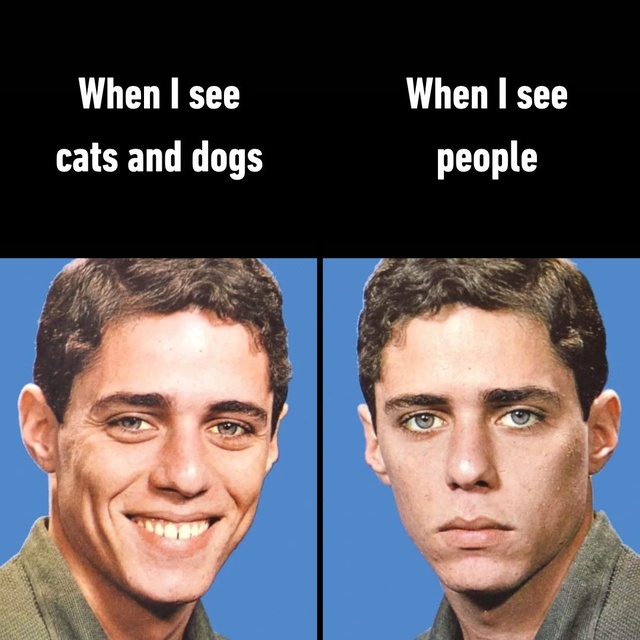 Bildschirmarbeiter - Picdump KW 02/2026