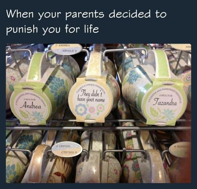 Bildschirmarbeiter - Picdump KW 02/2026