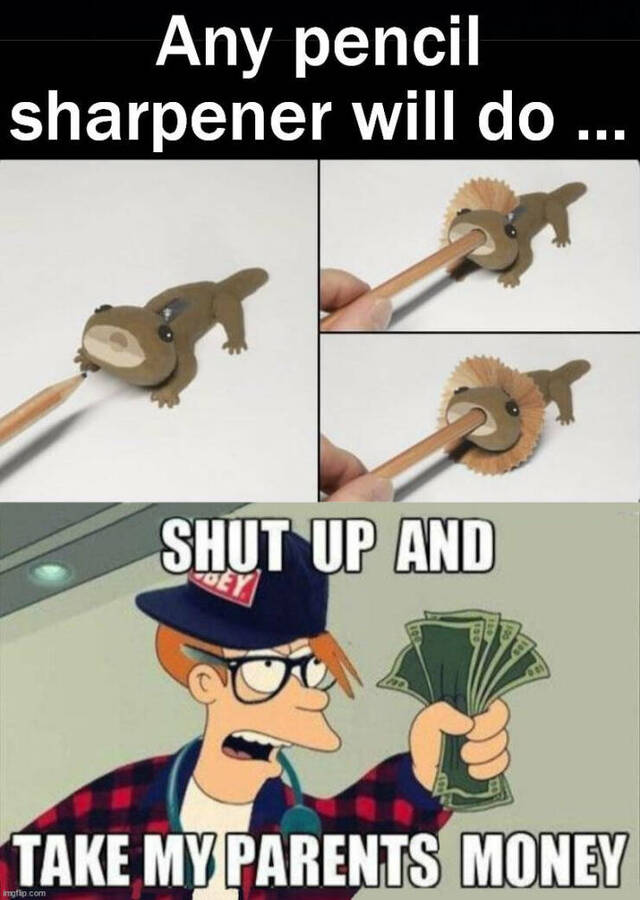 Bildschirmarbeiter - Picdump KW 02/2026