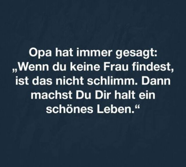 Bildschirmarbeiter - Picdump KW 02/2026