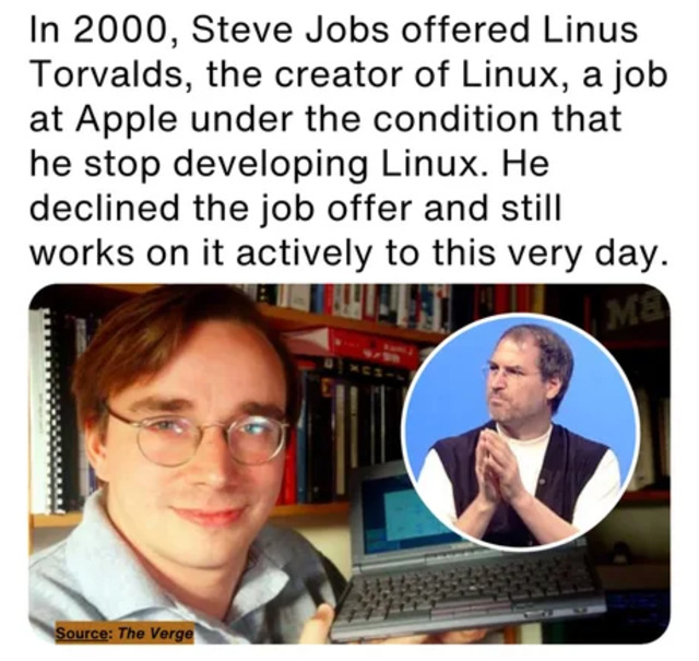 Bildschirmarbeiter - Picdump KW 02/2026