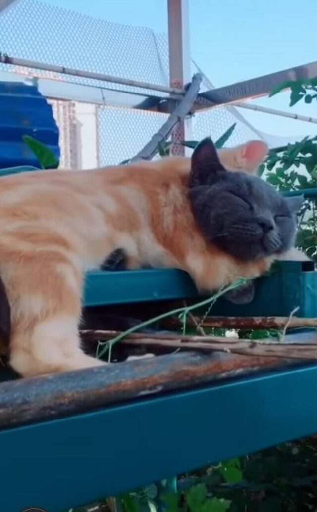 Bildschirmarbeiter - Picdump KW 02/2026