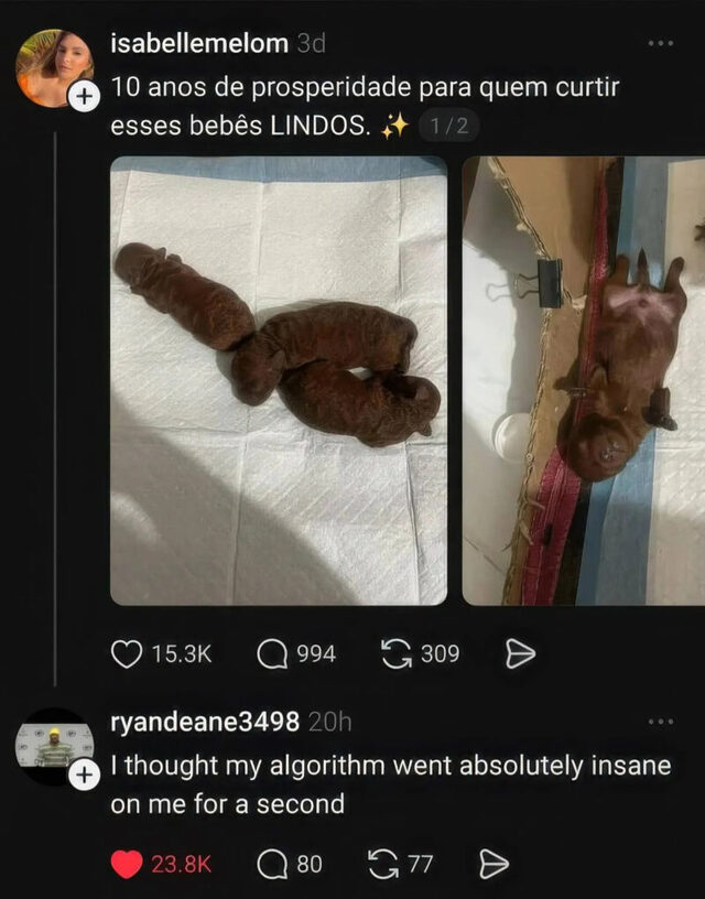 Bildschirmarbeiter - Picdump KW 02/2026