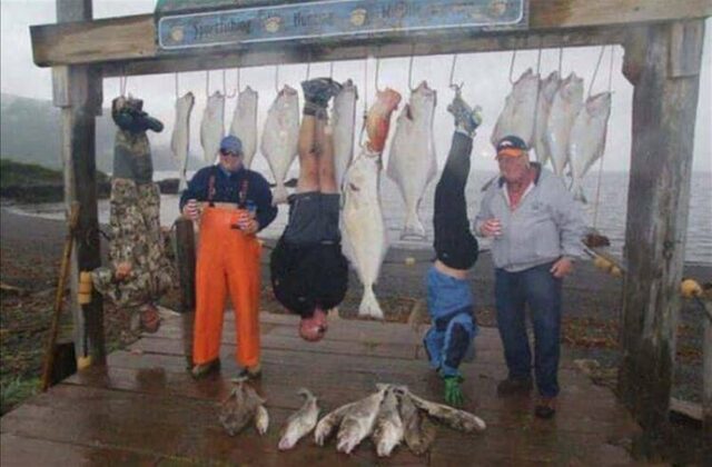 Bildschirmarbeiter - Picdump KW 02/2026