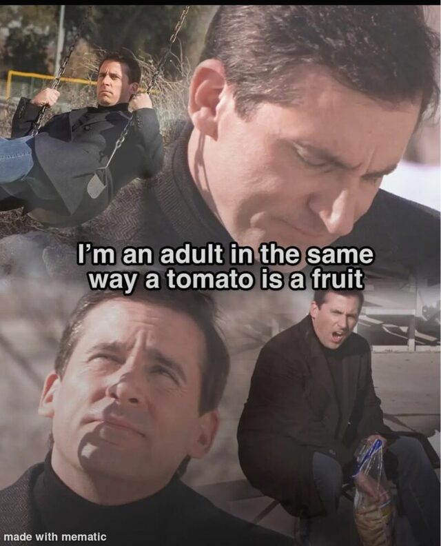 Bildschirmarbeiter - Picdump KW 02/2026