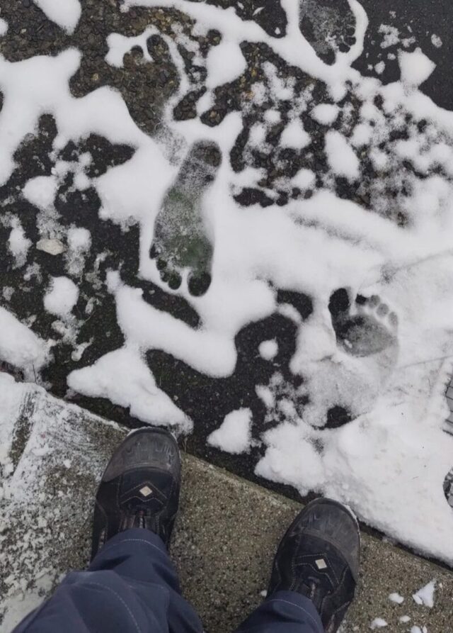 Bildschirmarbeiter - Picdump KW 02/2026