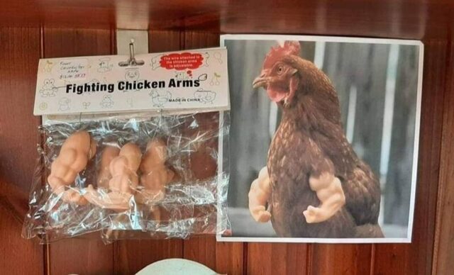 Bildschirmarbeiter - Picdump KW 02/2026