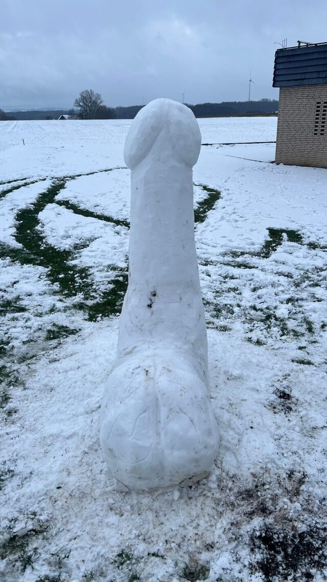 Bildschirmarbeiter - Picdump KW 02/2026