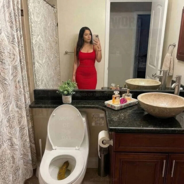 Bildschirmarbeiter - Picdump KW 02/2026