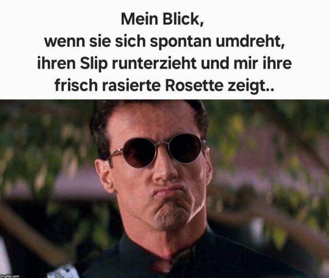 Bildschirmarbeiter - Picdump KW 02/2026